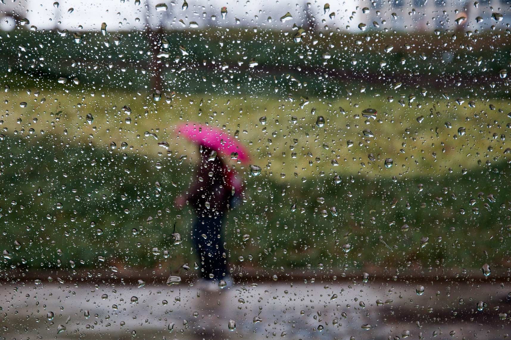 Rain28