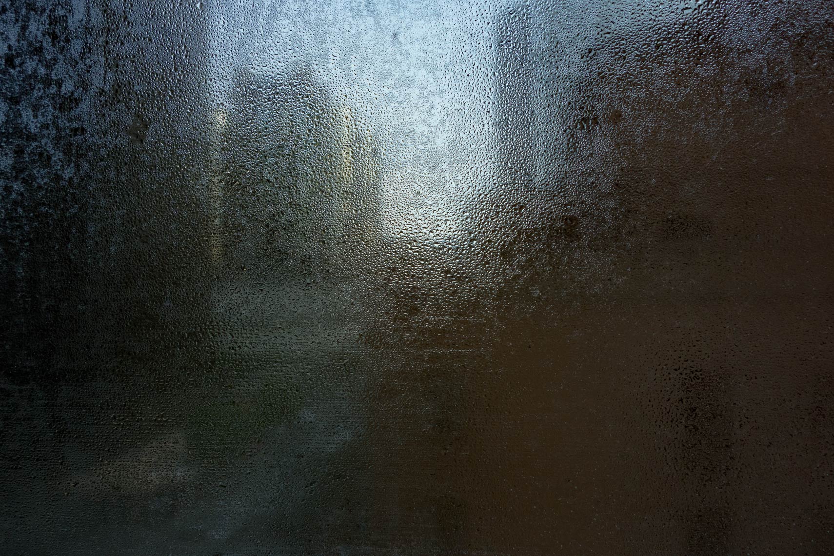 Veils55